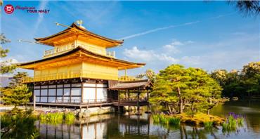 Tour Nhật Bản 2026: Hành trình Vàng Mùa Thu